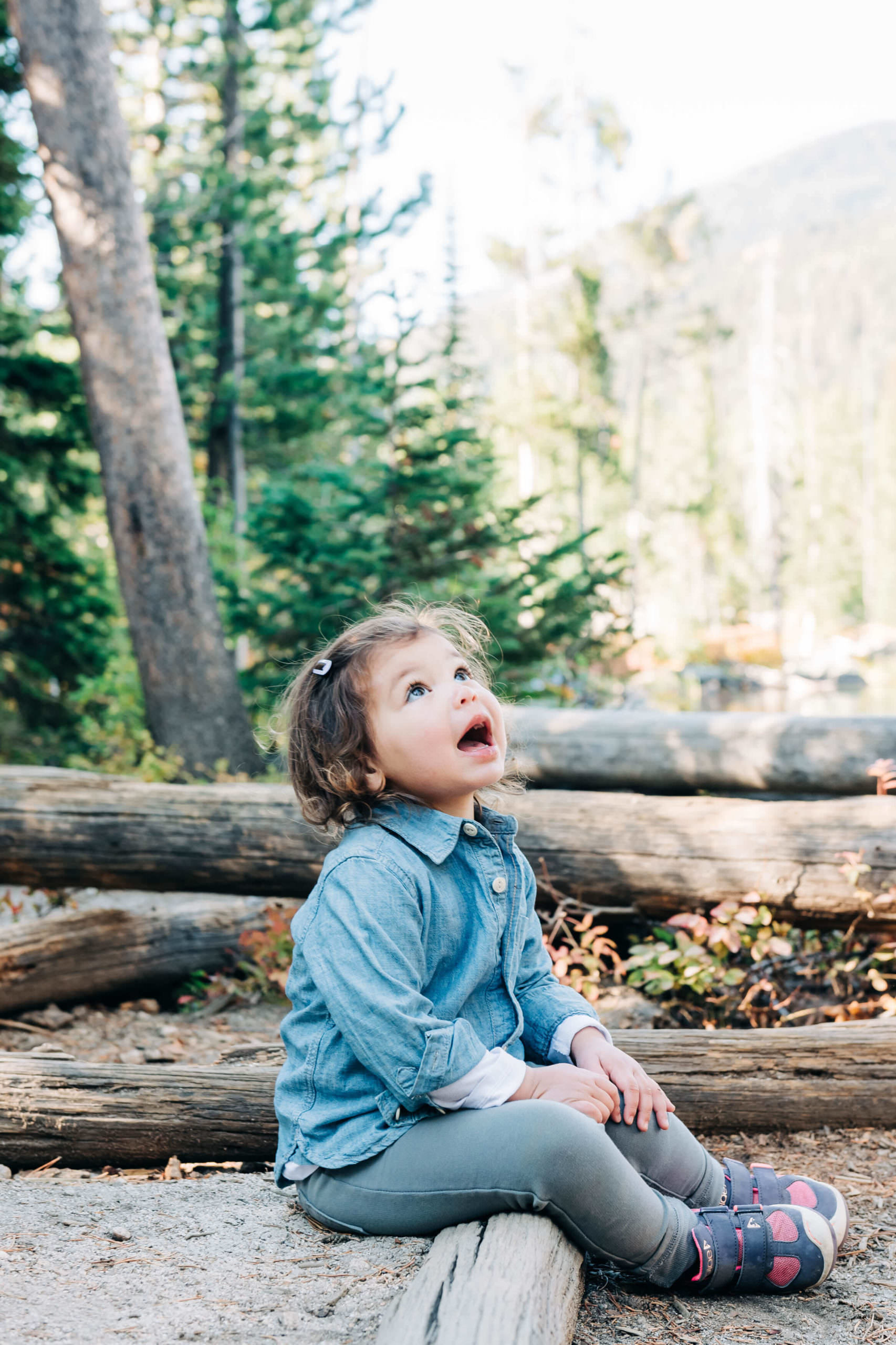 Ali Family Adventure Portrait Session by Forest