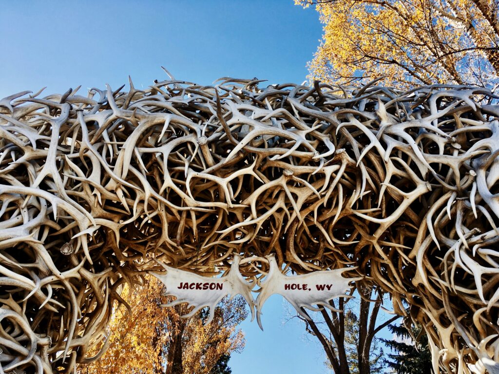 antler arch in Jackson Hole, WY