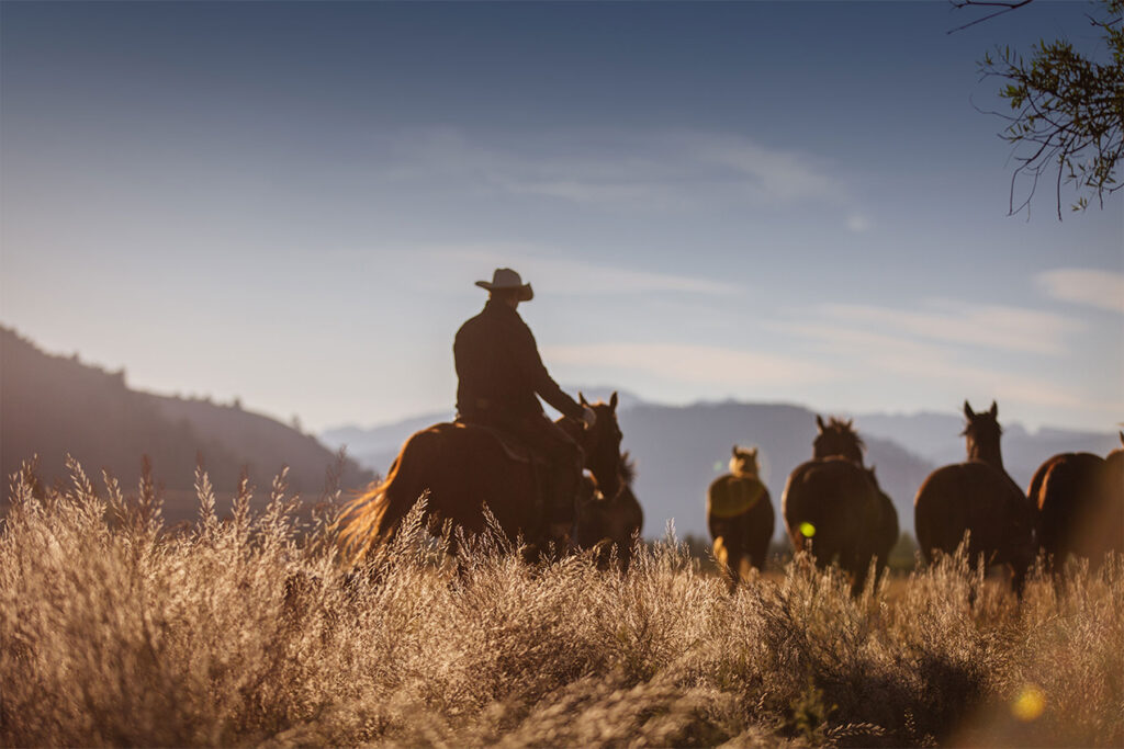 family-friendly activities in Jackson Hole, horseback riding in Jackson Hole at Four Seasons Resort