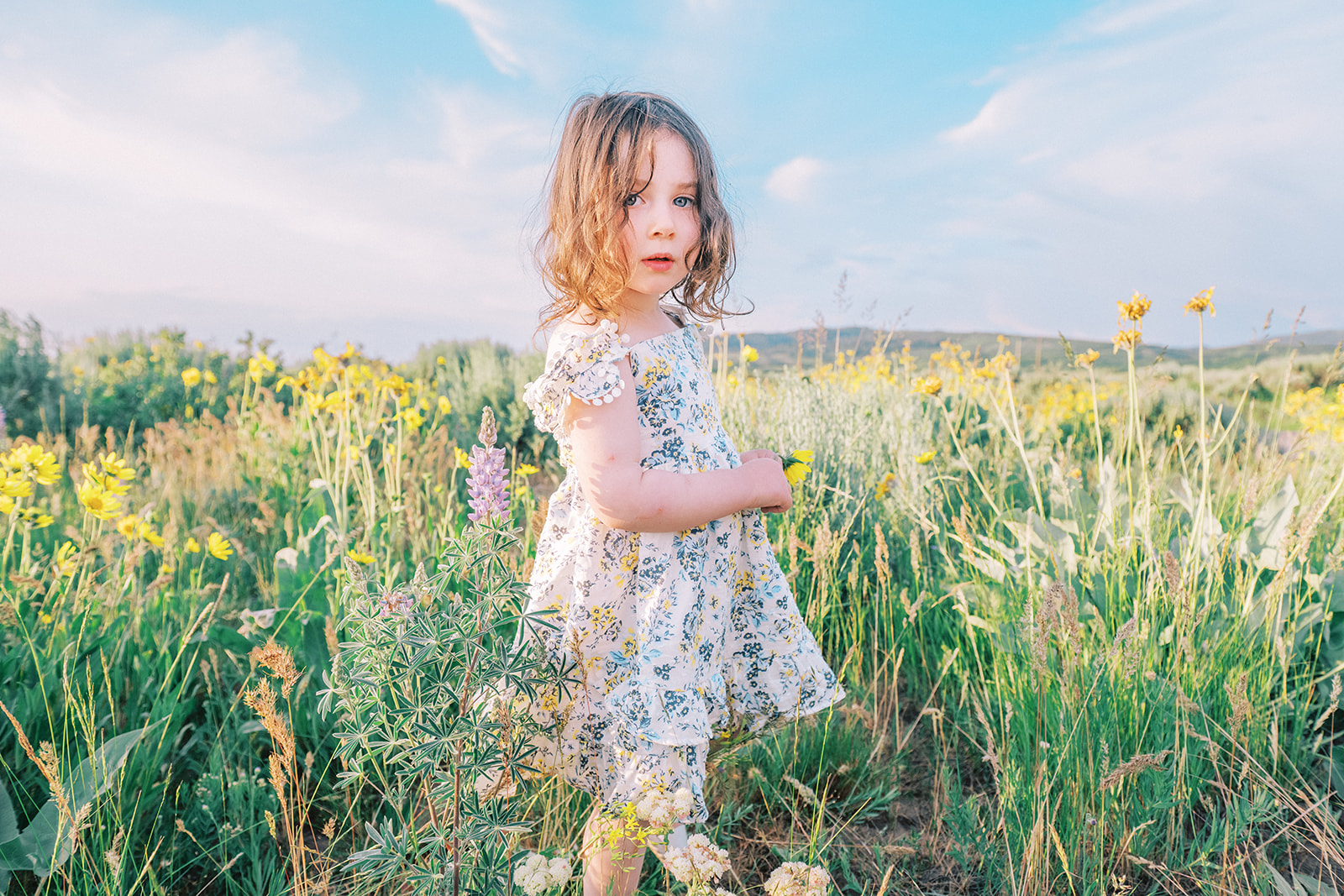 a toddler girl in a floral dress standing in a field of yellow flowers