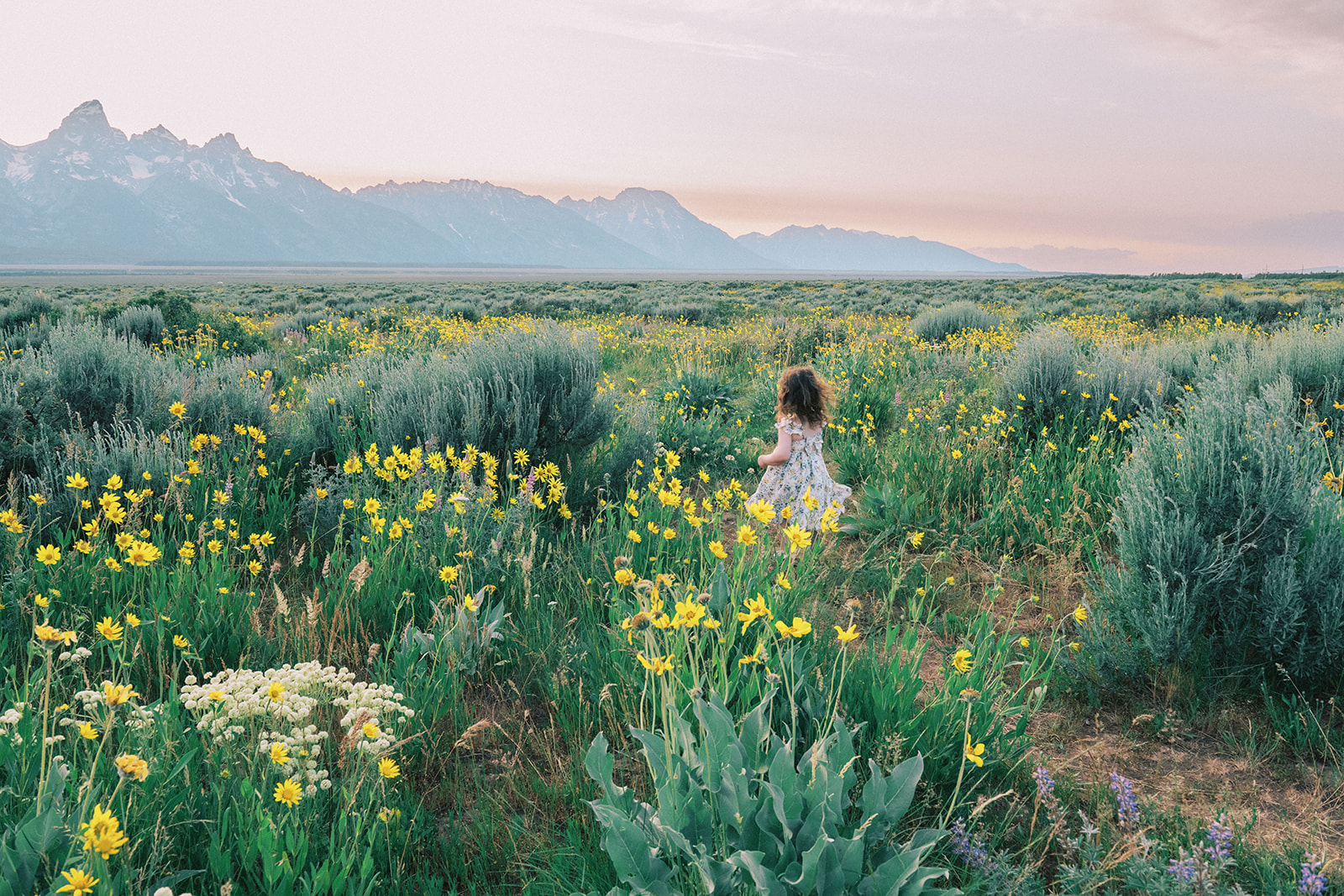 a toddler girl in a floral dress running through flower fields on her way to summer camps in Jackson WY