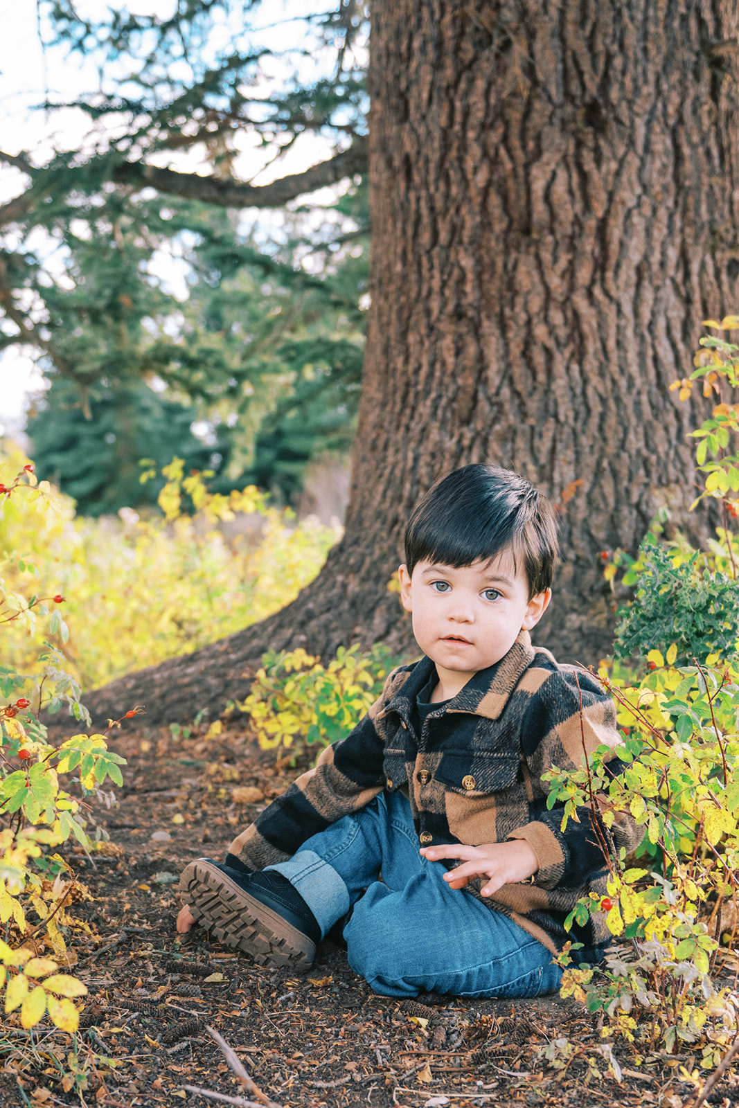 A young toddler in brown plaid and jeans sits at the base of a tree