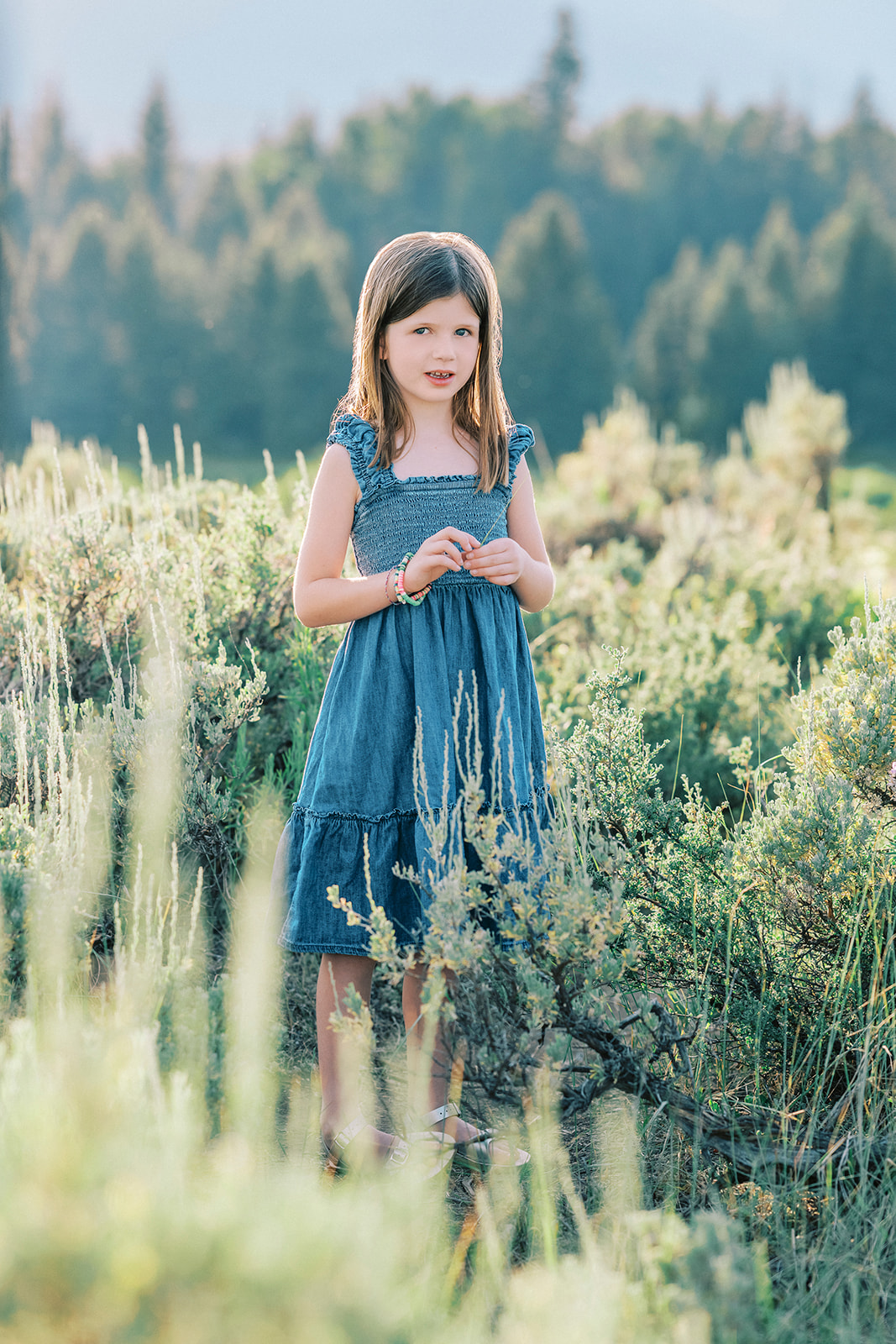A young girl in a blue dress explores a grand teton trail at sunset during some family portraits
