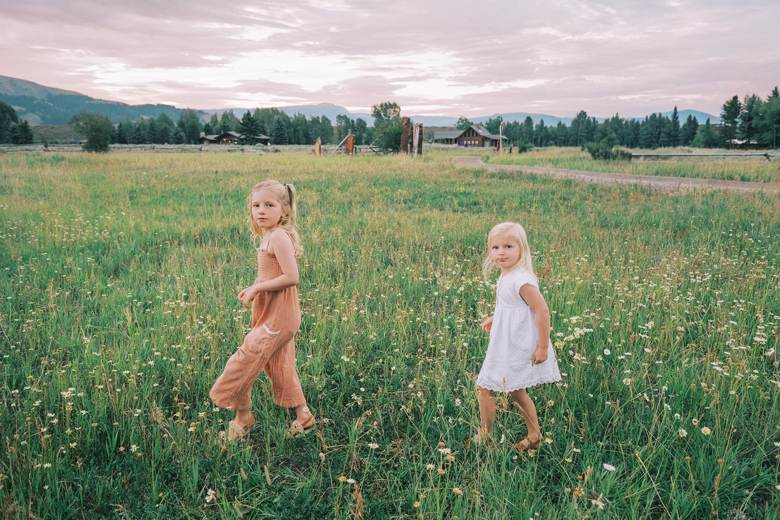 Two sisters in brown and white walk in a meadow full of wildflowers at sunset before some swim lessons in Jackson, WY